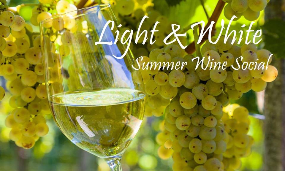 36775559_2280211855337232_8341478404737990656_n