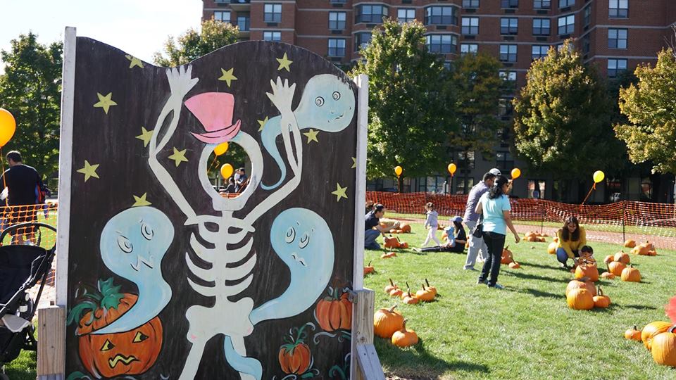 43034913_268530390441135_860004155199062016_n