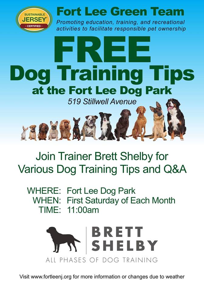 47050526_543848049415238_6230478811700396032_n