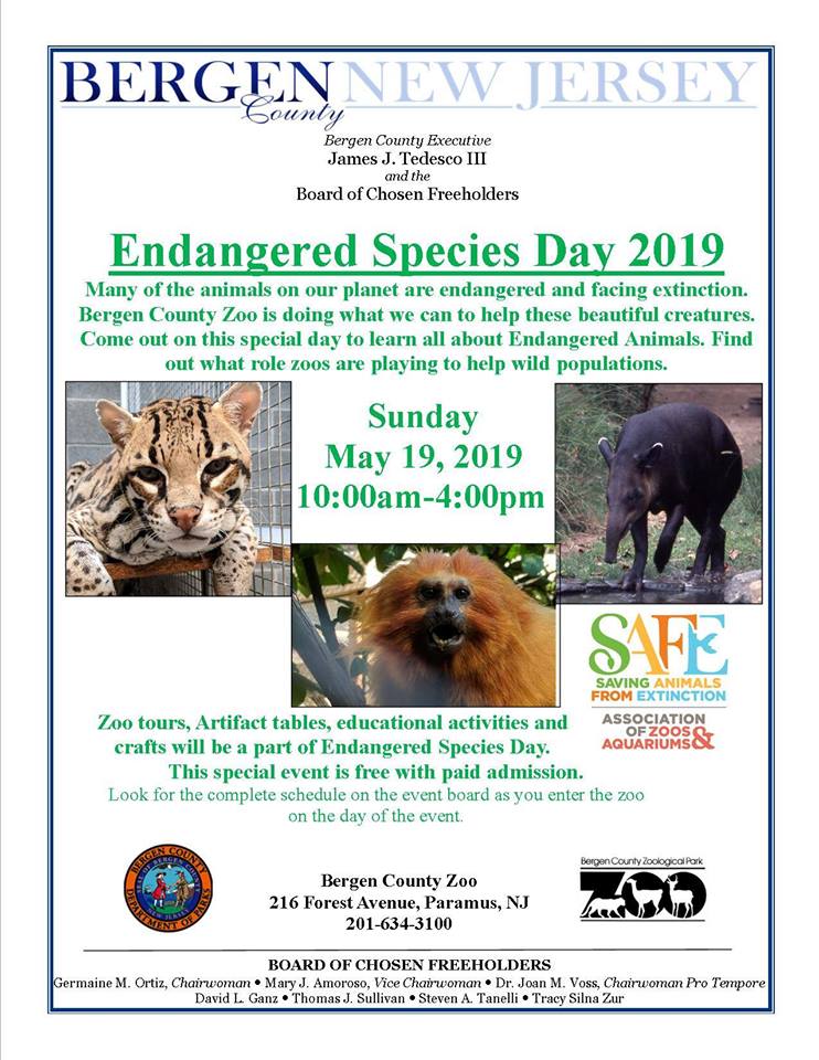 55664440_2058621120923297_937196120646352896_n