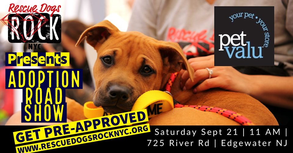 67953148_2511734115573996_4013779193039945728_n