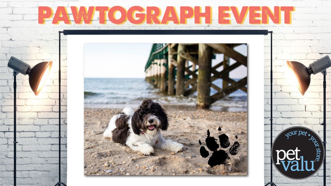 74661806_2680034268684380_4538282995819216896_o